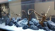 Fish tank rock decorations 
